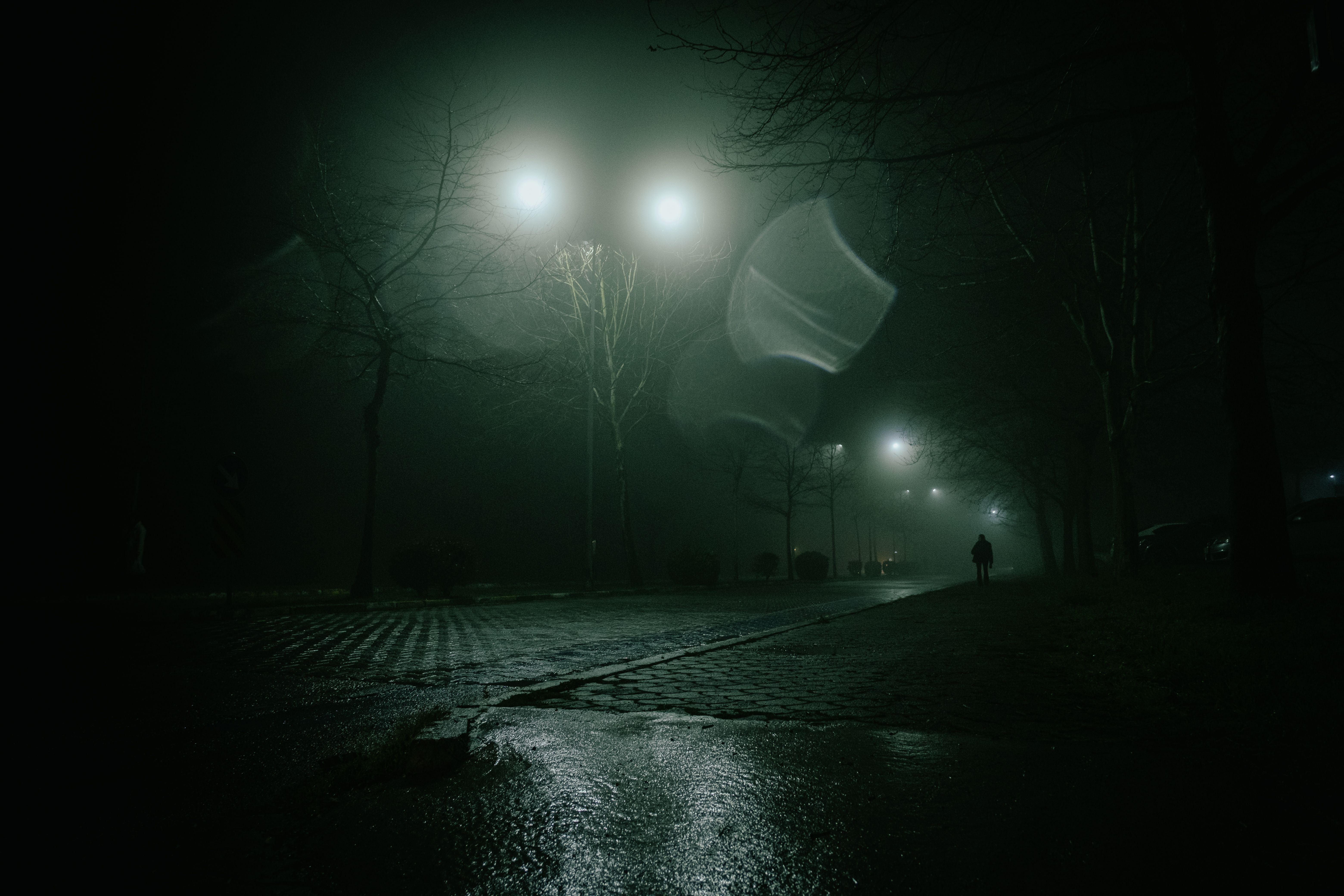 A road disappearing into thick fog at night.