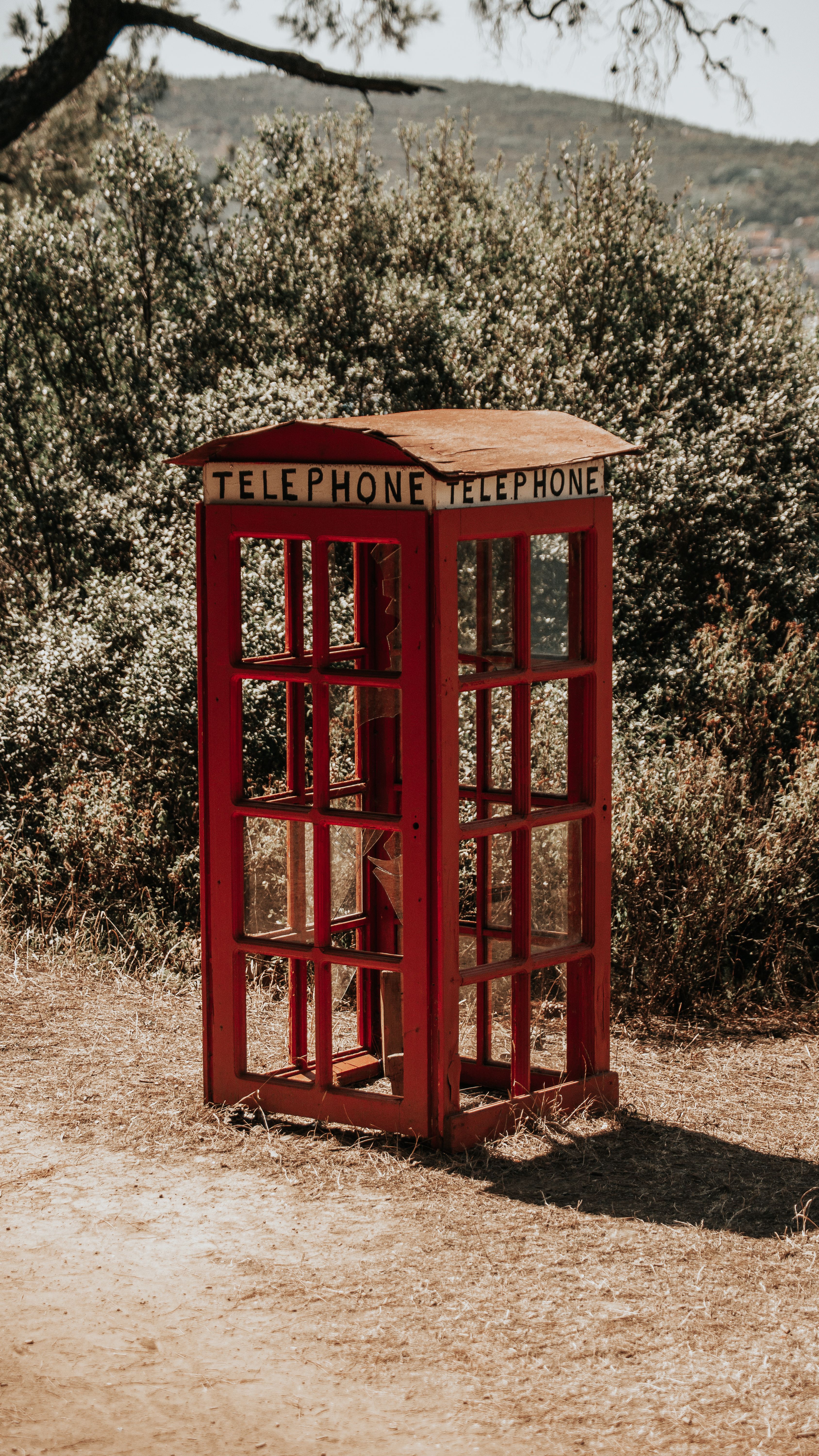An abandoned telephone booth surrounded by trees.